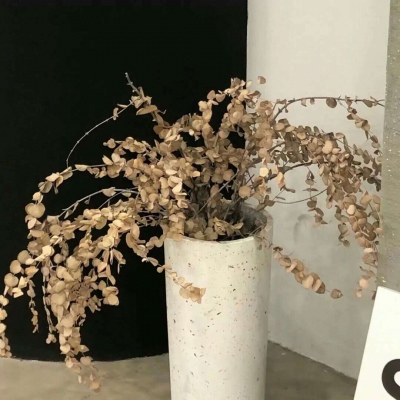 Furry绘画原创思路福瑞交流群